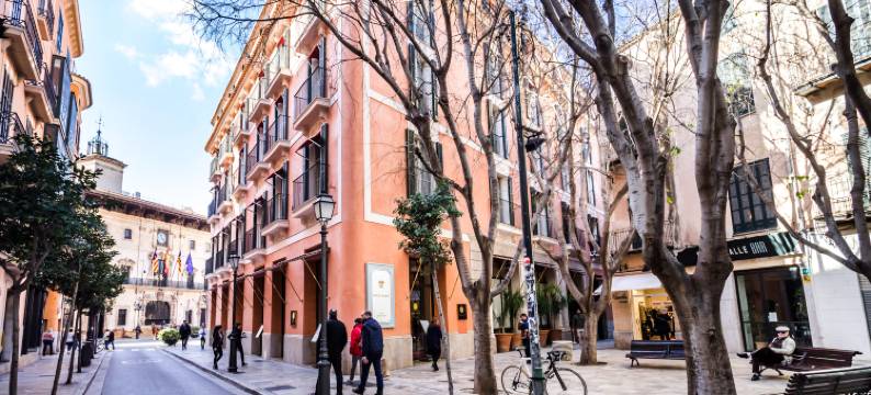 马略卡套房公寓 - 室内旅游(Mallorca Suites - Turismo de Interior)图片