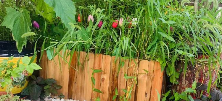 大连达尔尼日租聚会别墅图片