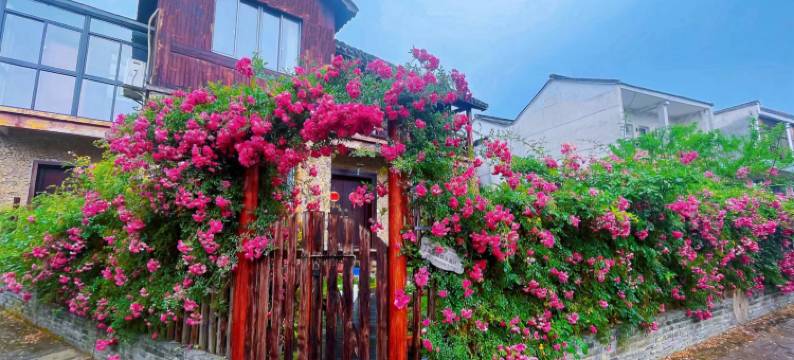 荻港花恬小筑民宿图片