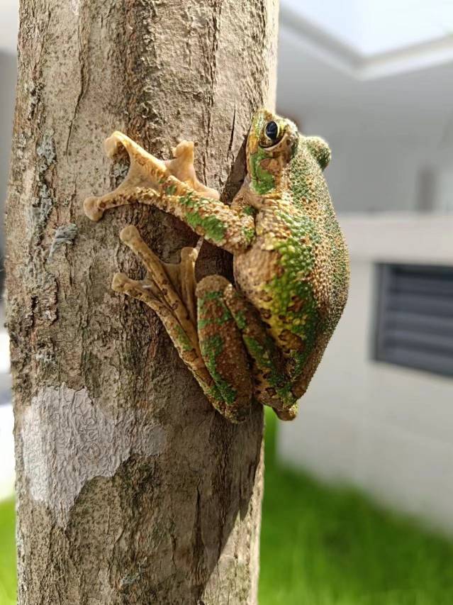 成都大邑花水湾天宫和院酒店图片