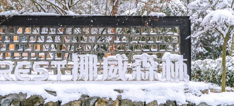 彭州挪威森林溪舍Forest hiking私汤民宿图片