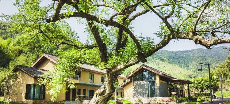 金寨春山·柳遇民宿图片