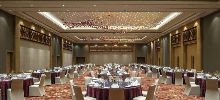 金奈羽毛拉达酒店(Feathers - A Radha Hotel Chennai)图片