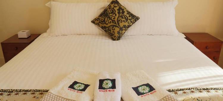 白玫瑰旅馆(Whiterose Guesthouse)图片