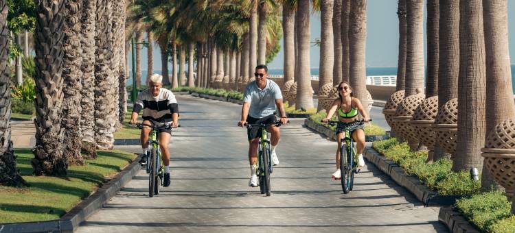 迪拜棕榈岛瑞克索斯度假酒店(Rixos the Palm Hotel & Suites)图片