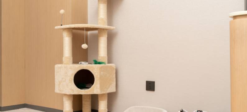 威海荣成玥儿湾度假酒店(樱花湖店)图片