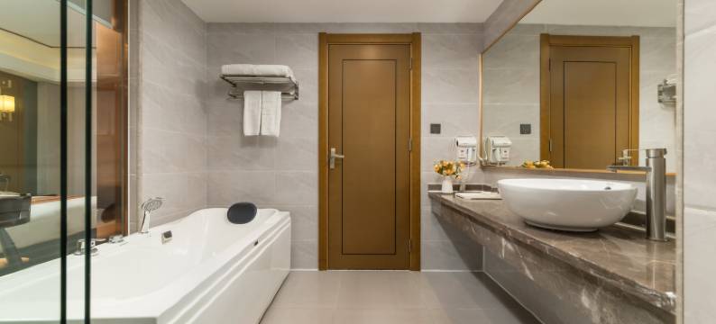 金马酒店(深圳万象食家笋岗地铁站店)图片