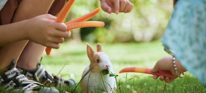 海南石梅湾艾美度假酒店图片