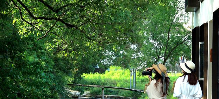 望山生活·巡检司田野度假民宿(婺源严田店)图片