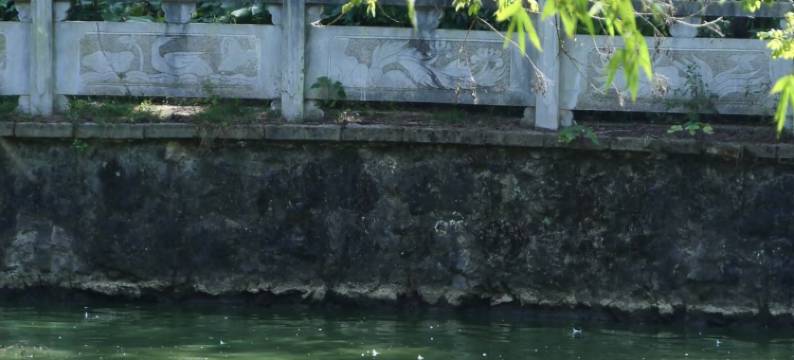 梵净小苑(贵州医科大学附属医院盐务街店)图片