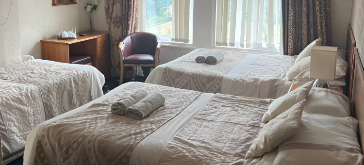 OYO Baytree旅馆(Baytree Lodge)图片