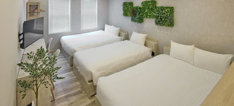 富士山中湖Solana Smart旅馆(Solana Smart INN Mt. Fuji Yamanakako)图片