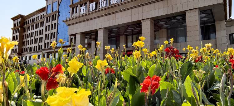 新源那拉提国际酒店(县人民政府店)图片