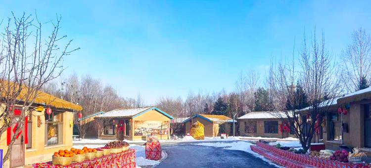 雪韵假日精选酒店(亚布力滑雪旅游度假区店)图片