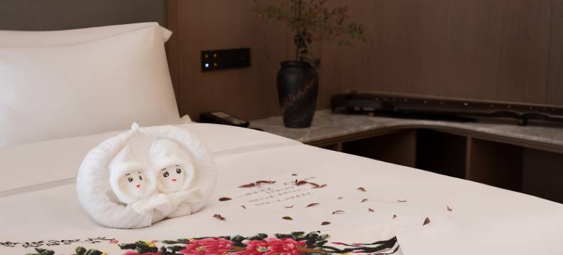 湘阴佰嘉丽景酒店图片