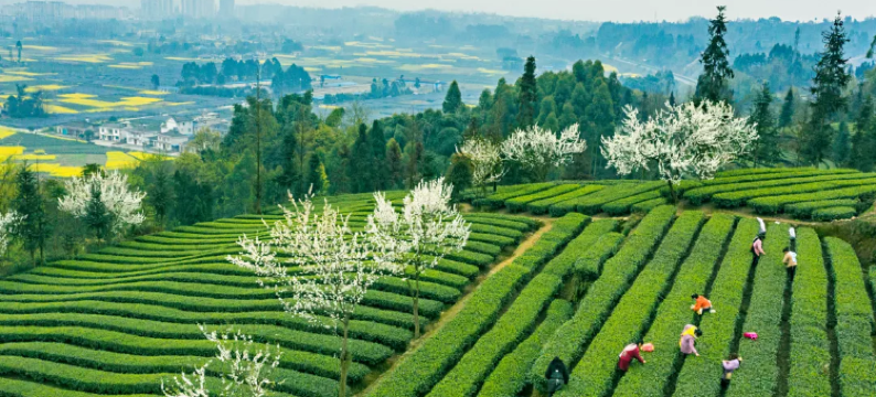 柳江半闲居酒店图片