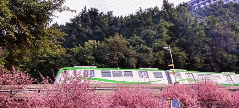 汉庭酒店(重庆李子坝牛角沱地铁站店)图片