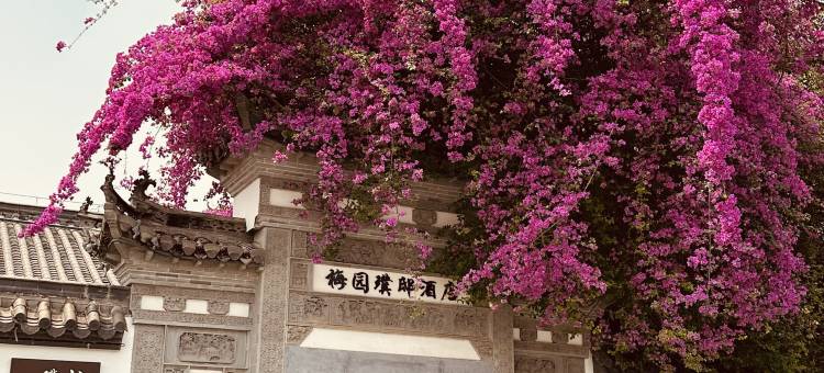 崇左梅园璞邸酒店(太平古城店)图片