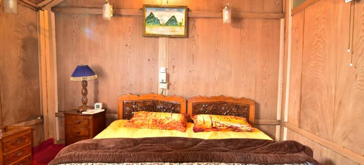 扎尹达里宫船屋(Houseboat Zaindari Palace)图片