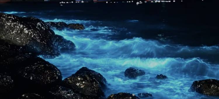 平潭叙海·Lyrical Sea度假民宿(龙王头沙滩店)图片