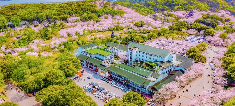 无锡樱花山庄(太湖鼋头渚风景区店)图片