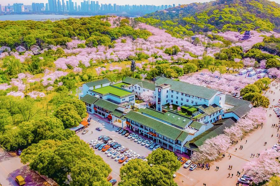無錫櫻花山莊(太湖黿頭渚風景區店)