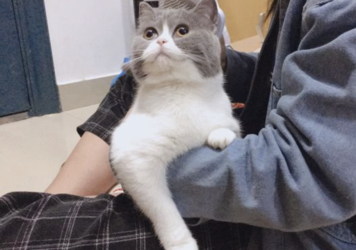 太湖栖溪舍民宿(苏州西山风景区店)图片