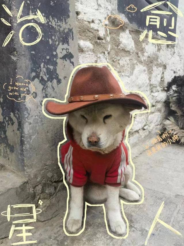 糖舍·供氧别院(八廓街大昭寺店)图片