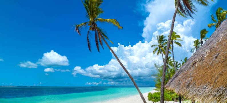 F-Zeen博扎尔精品酒店(F-Zeen Boutique Hotel Zanzibar)图片