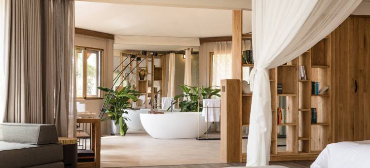 长兴阿那度(Anadu)橄榄庄园图片