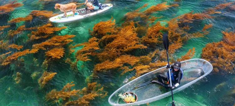 涠洲岛裕达海景度假酒店(码头蓝桥店)图片