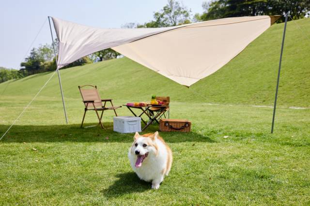 安吉桃源里酒店图片