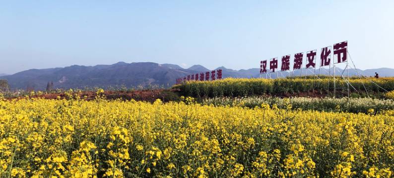 西乡豪庭时尚酒店图片