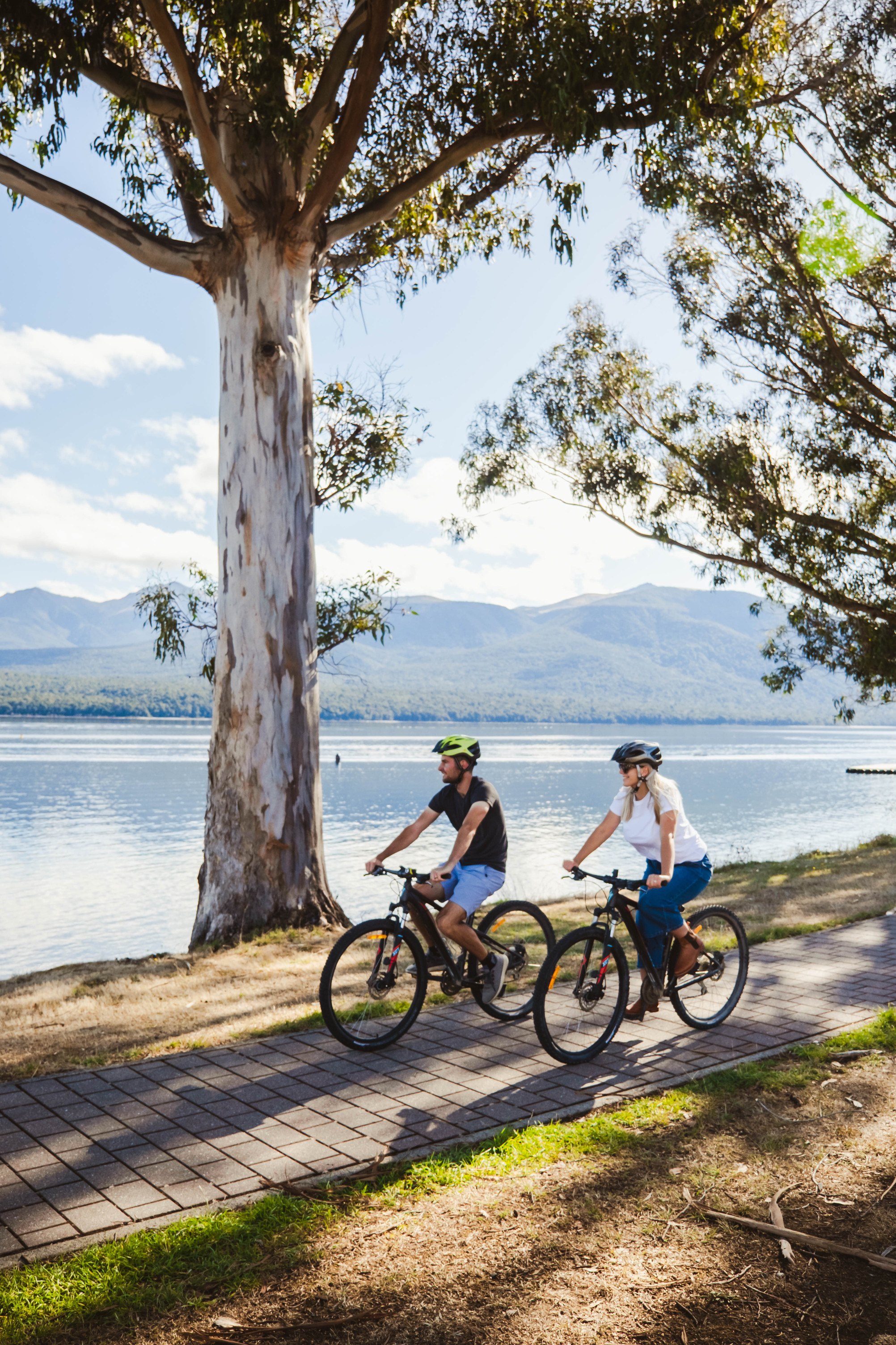 Radfords on the Lake Over view