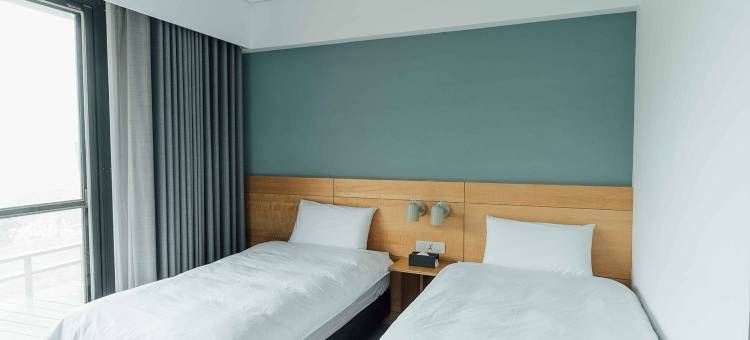 日光春和 Dayspring图片