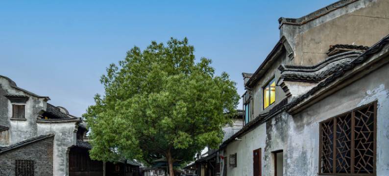 铂森PAWSON·临河观景民宿(乌镇东栅景区店)图片