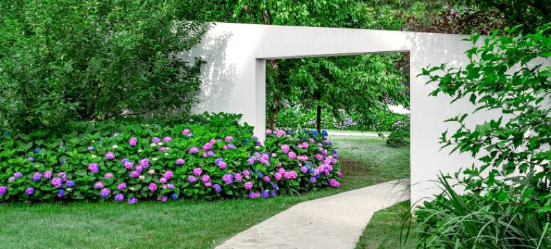 郁园乡野度假村图片