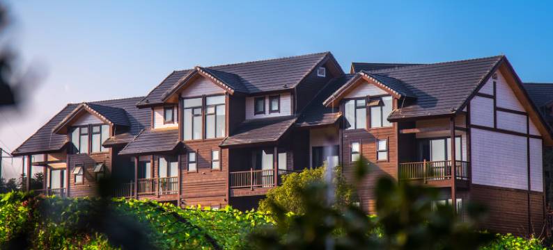 平江山水梧桐木屋轻奢民宿图片