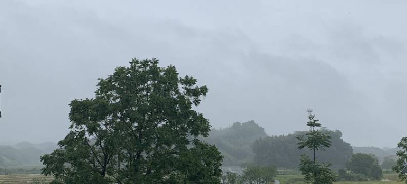 乐平樱木花道民宿图片