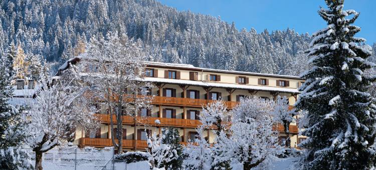 威拉尔斯旅馆(Villars Lodge)图片