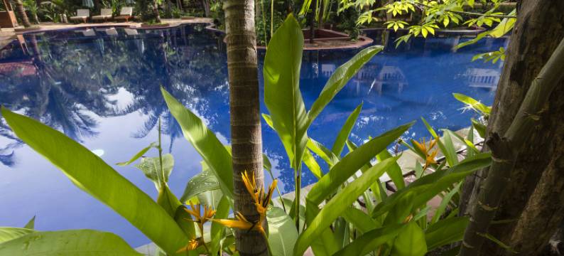 吴哥勒贾尔丁度假酒店(Le Jardin d'Angkor Hotel & Resort)图片