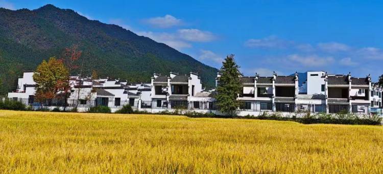 碧山·嘻遇黄山宿·田园亲子民宿图片