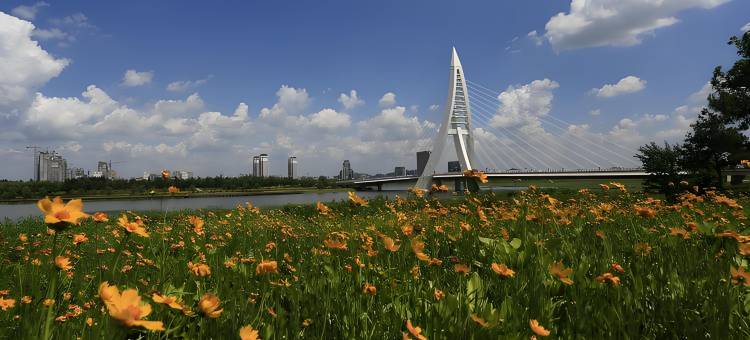 铁岭外星人酒店图片