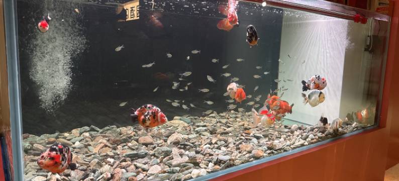 汕尾家园酒店(二马路美食街店)图片