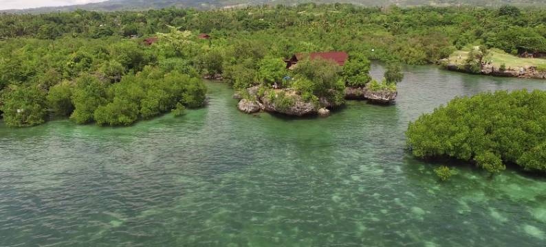 Eskapo Verde 旅馆 莫阿尔博阿尔(Eskapo Verde Lodge)图片