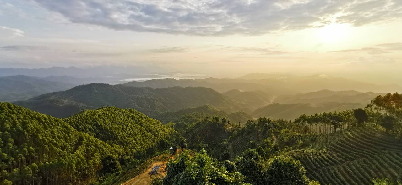 Sunrise over the tea terraces of Daluo Mountain