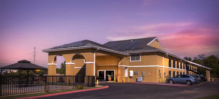 德州坎顿红屋顶酒店(Red Roof Inn Canton, TX)图片