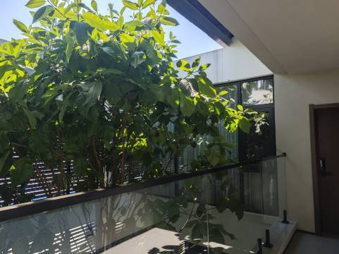 曼醒·沐夏|侘寂美学设计·Villa森氧林墅(嘎洒机场店)图片
