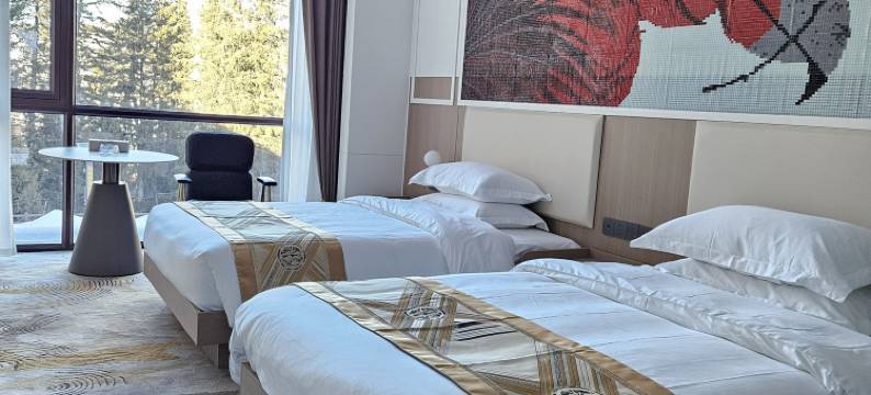 云龙栖大酒店(果子沟观景台店)图片