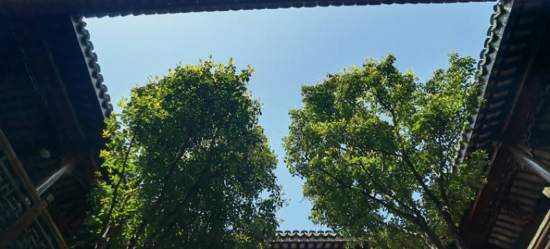 南翔古镇槎溪民宿图片